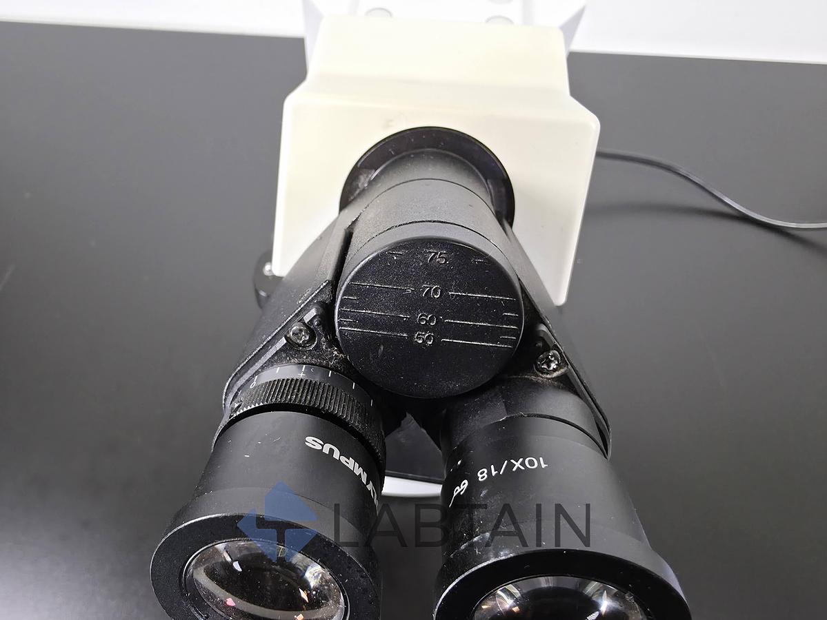 Used Olympus CX31 Binocular Biological Microscope UIS2 Infinity Optics 4x-100x Used