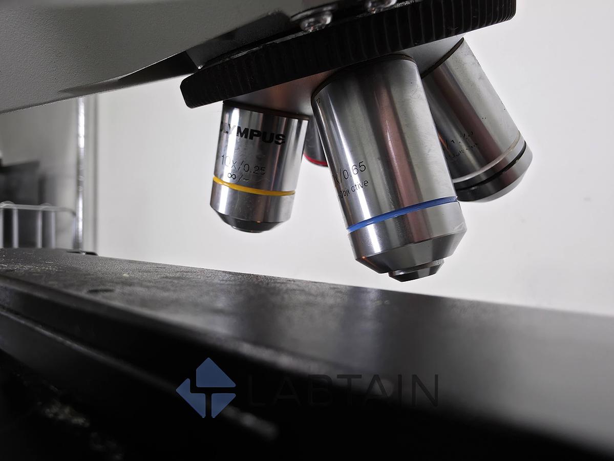 Used Olympus CX21FS1 Binocular Biological Microscope | 4X, 10X, 40X, 100X Objectives 