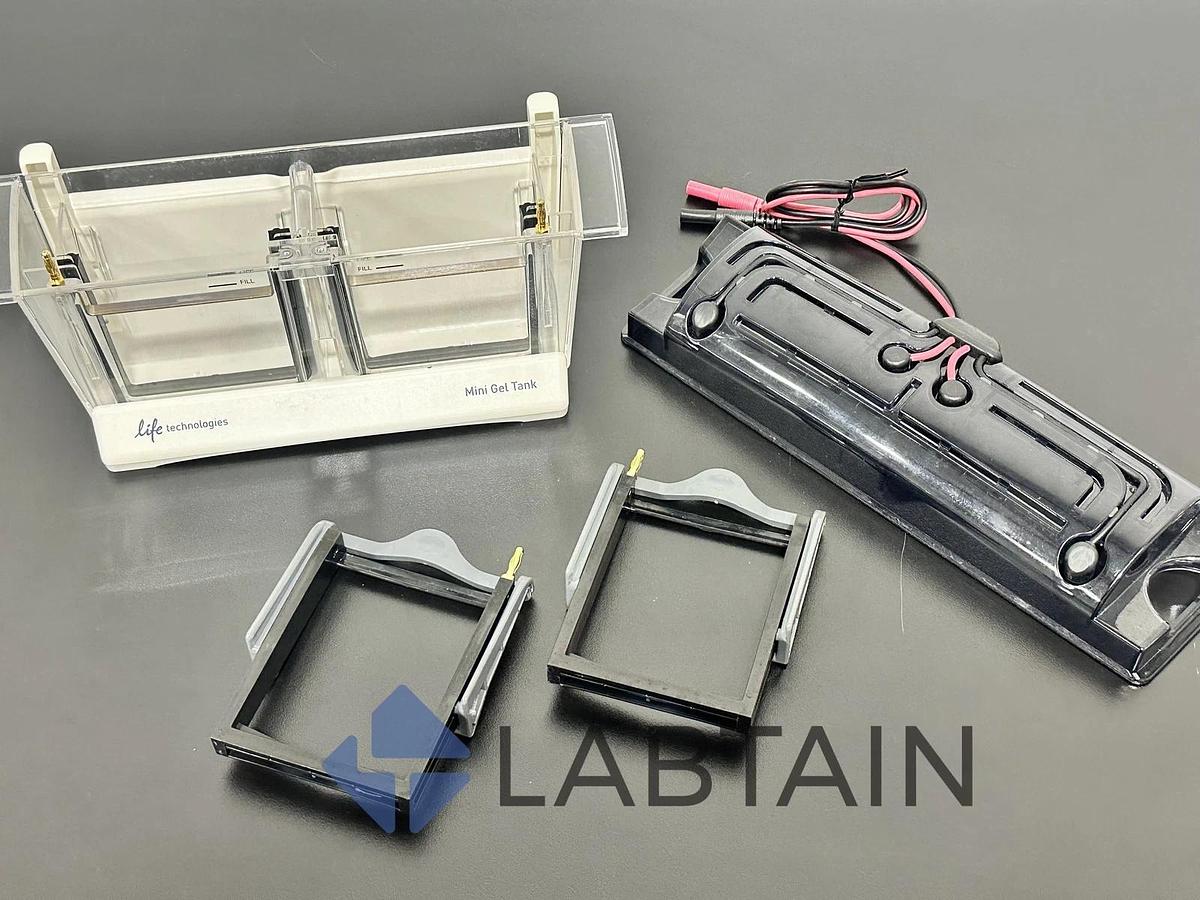 Used Invitrogen Mini Gel Tank A25977 - Electrophoresis System - Thermo Fisher