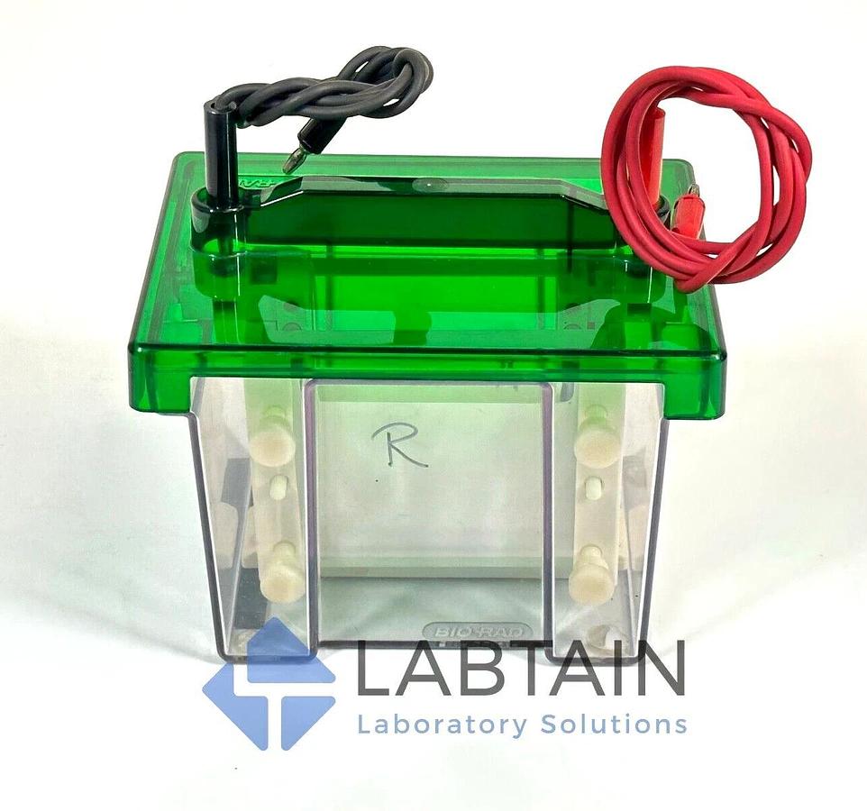 Used BioRad / Bio-Rad Mini PROTEAN II Vertical Electrophoresis System | 125BR
