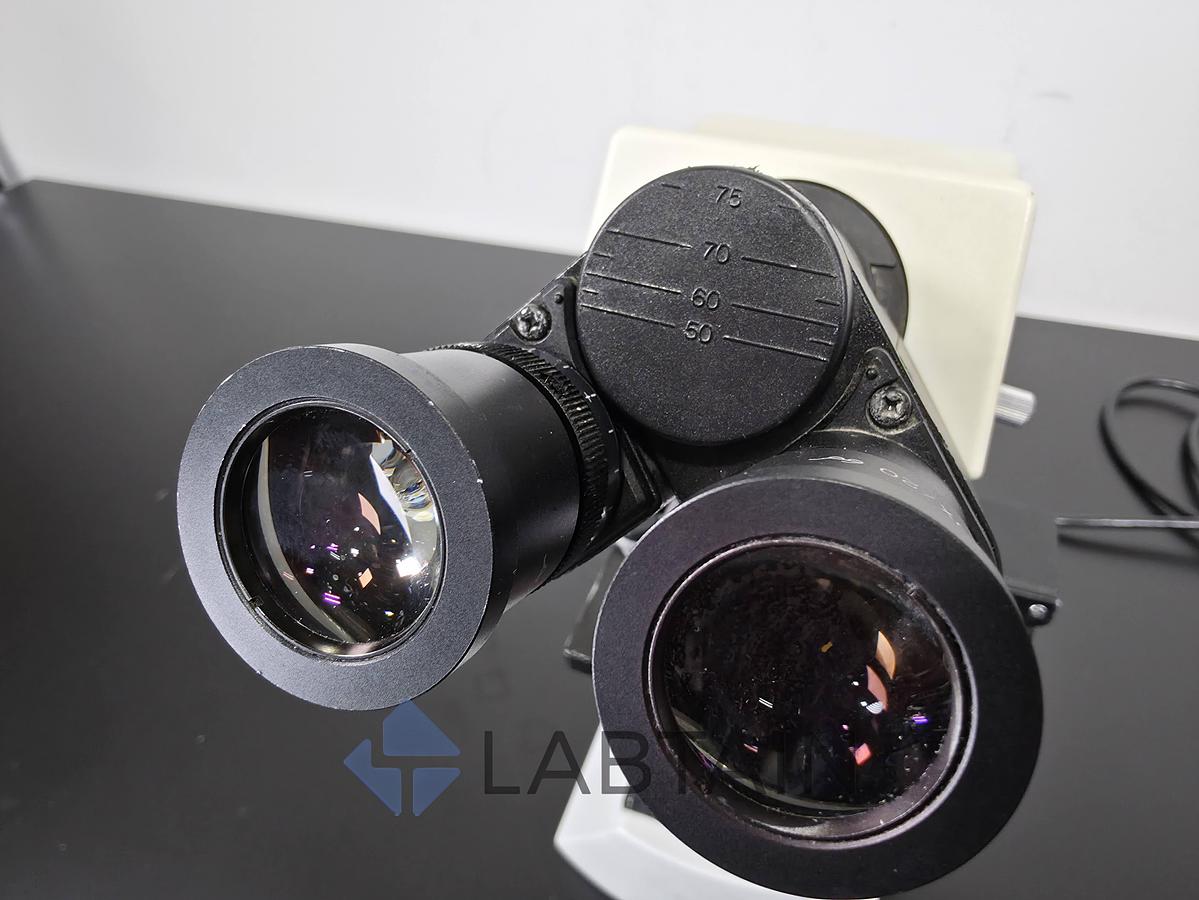 Used Olympus CX21FS1 Binocular Biological Microscope | 4X, 10X, 40X, 100X Objectives 