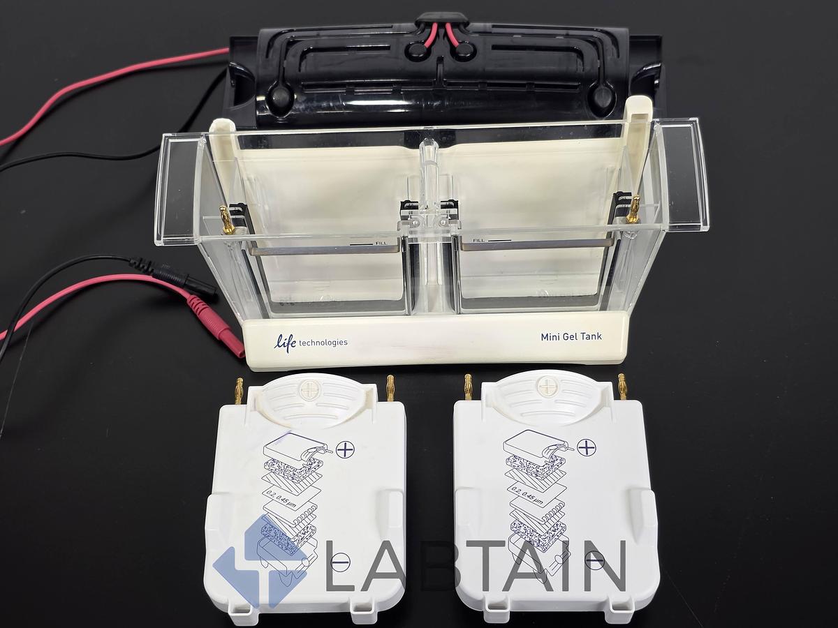 Used Life Technologies Novex Mini Gel Tank w/ (2) Invitrogen Mini Blot Modules