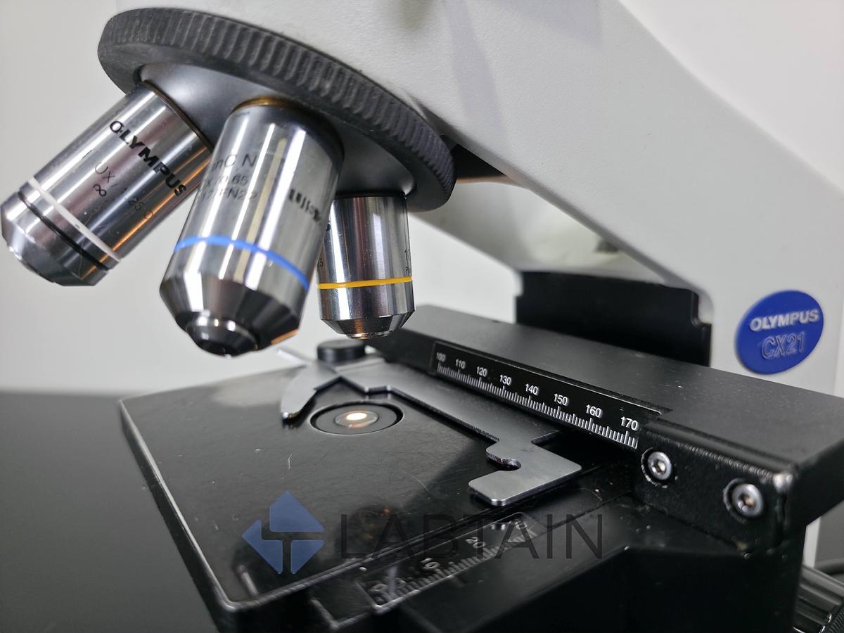 Used Olympus CX21FS1 Binocular Biological Microscope | 4X, 10X, 40X, 100X Objectives | Used {draft four}