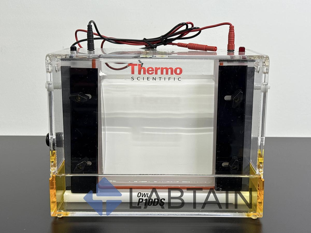 Used Thermo Scientific Owl 10DS Vertical Gel Electrophoresis System – Used