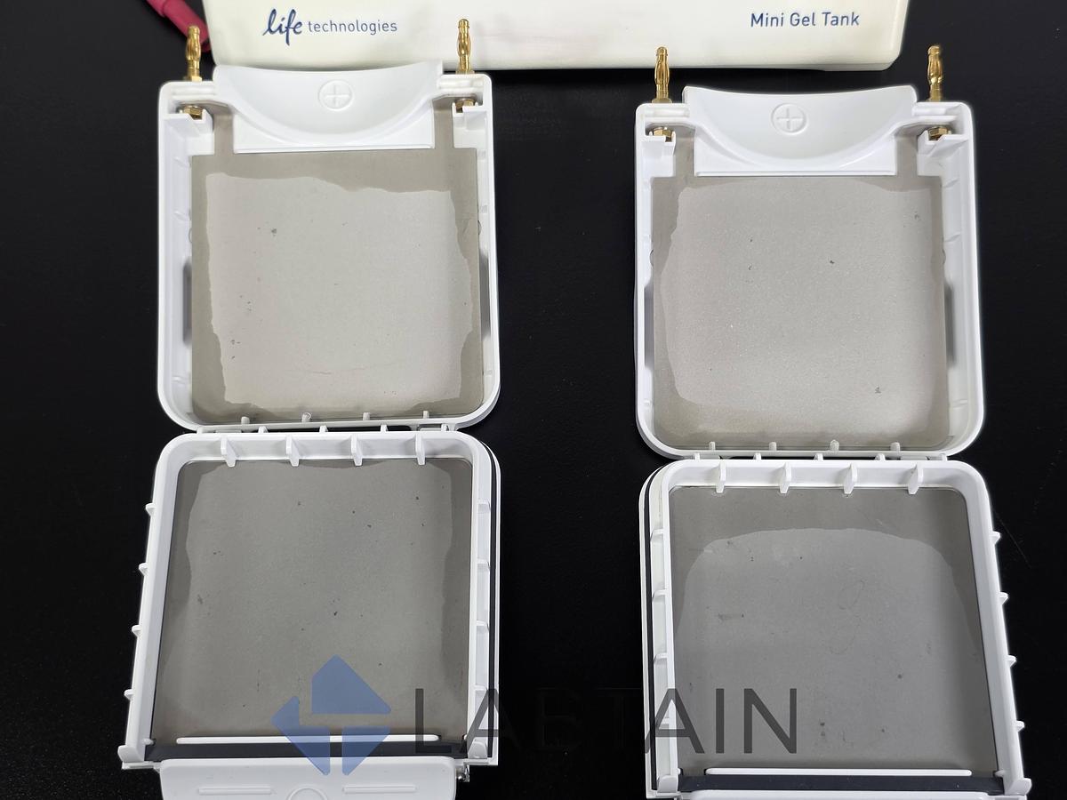 Used Life Technologies Novex Mini Gel Tank w/ (2) Invitrogen Mini Blot Modules
