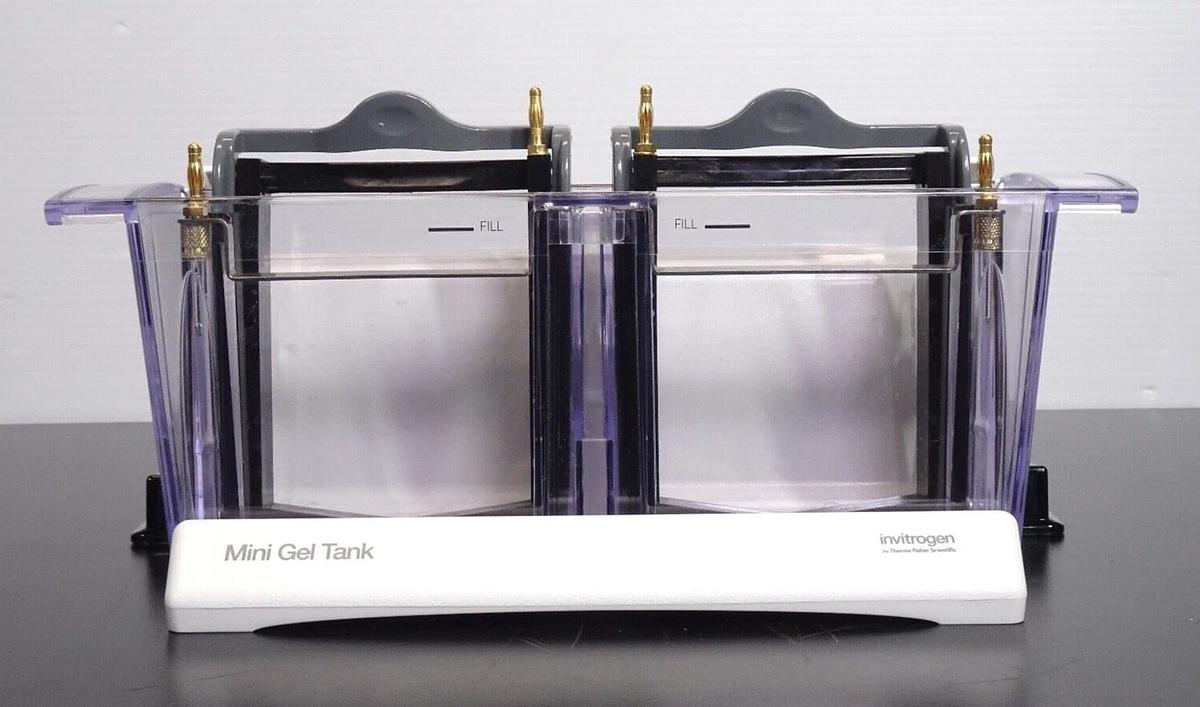 Used Invitrogen A25977 Mini Gel Tank Electrophoresis System _ Free Shipping