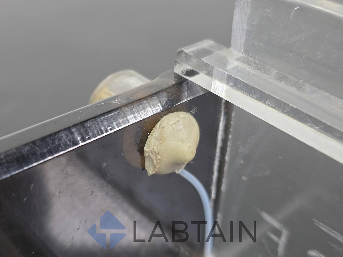 Used Owl Scientific Easy-Cast B1 Horizontal Electrophoresis System Base Tank