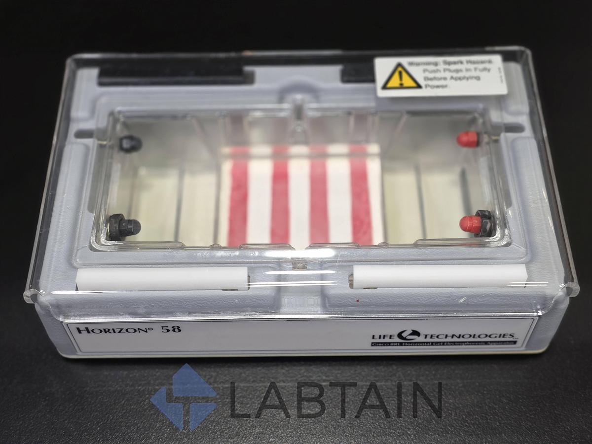 Used Life Technologies Gibco BRL Horizon 58 Horizontal Gel Electrophoresis System Used