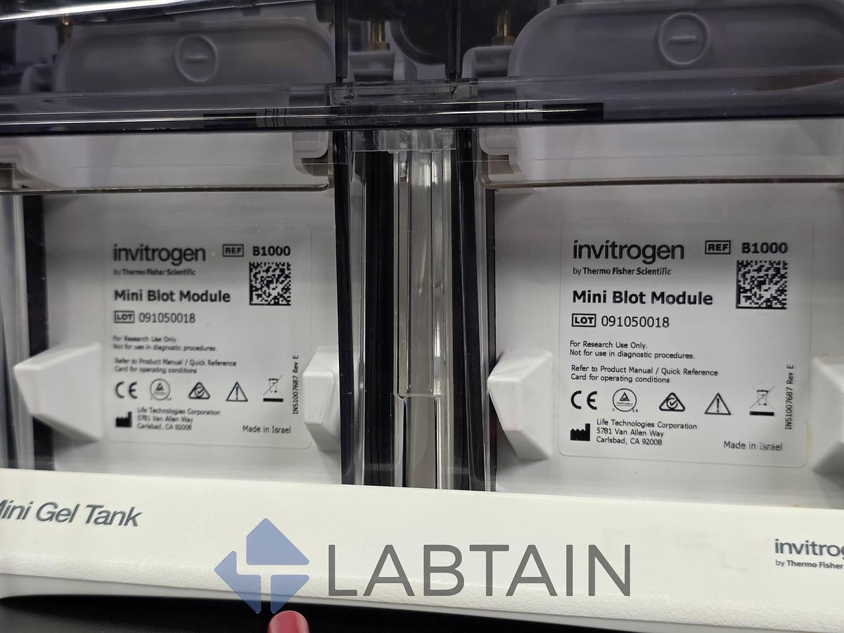 Used Invitrogen / Thermo Fisher Mini Gel Tank (A25977) with 2× Mini Blot Modules (B1000) — Vertical Mini-Gel Electrophoresis & Wet Western Transfer — Used / Inspected