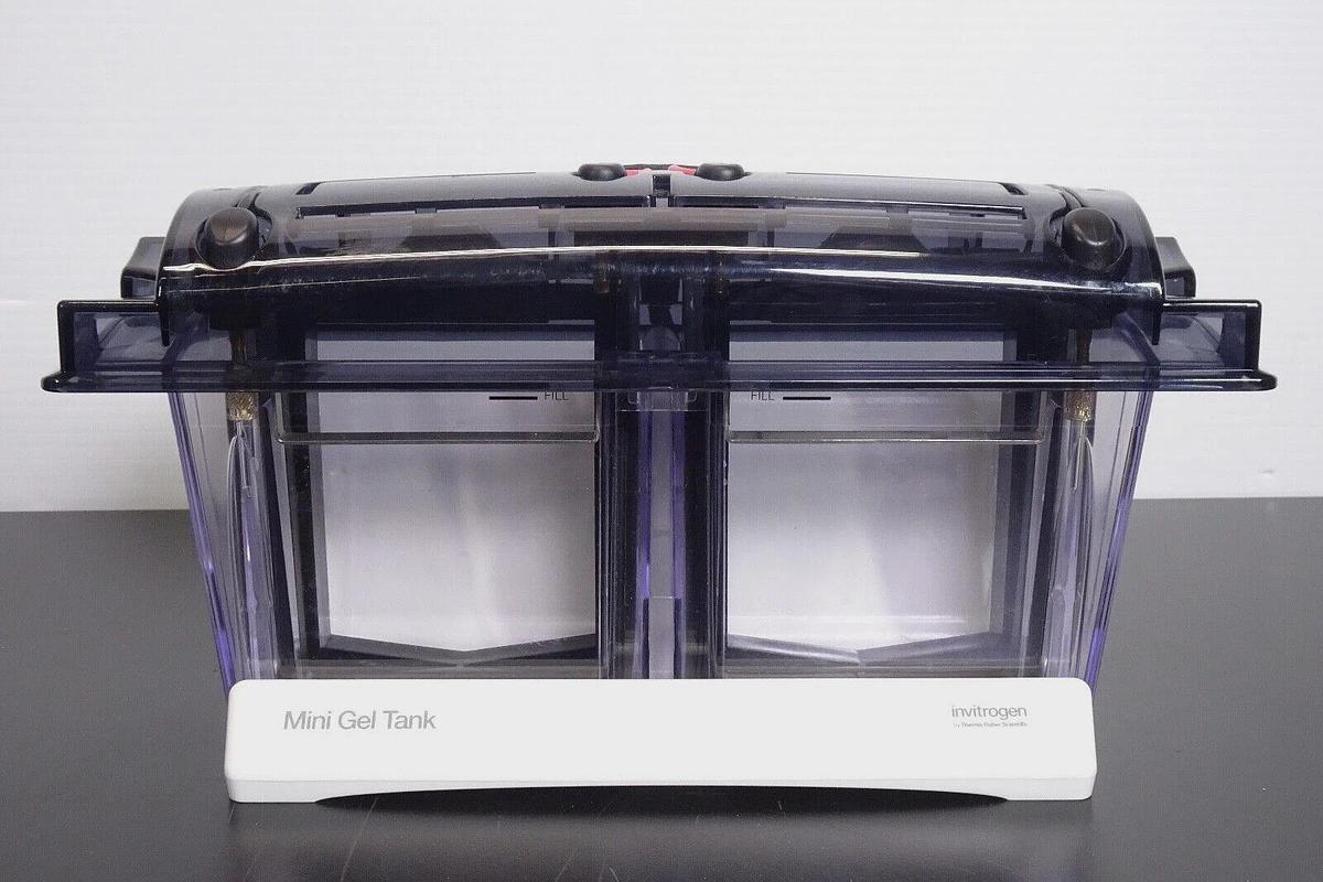 Used Invitrogen A25977 Mini Gel Tank Electrophoresis System _ Free Shipping
