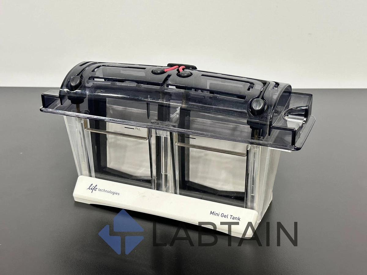 Used Invitrogen Mini Gel Tank A25977 - Electrophoresis System - Thermo Fisher