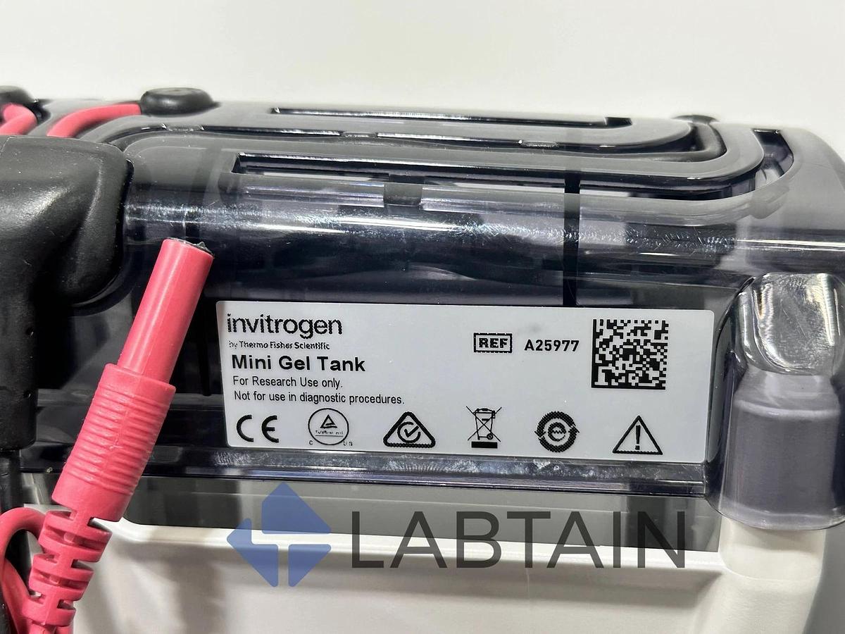 Used Invitrogen Mini Gel Tank A25977 - Electrophoresis System - Thermo Fisher
