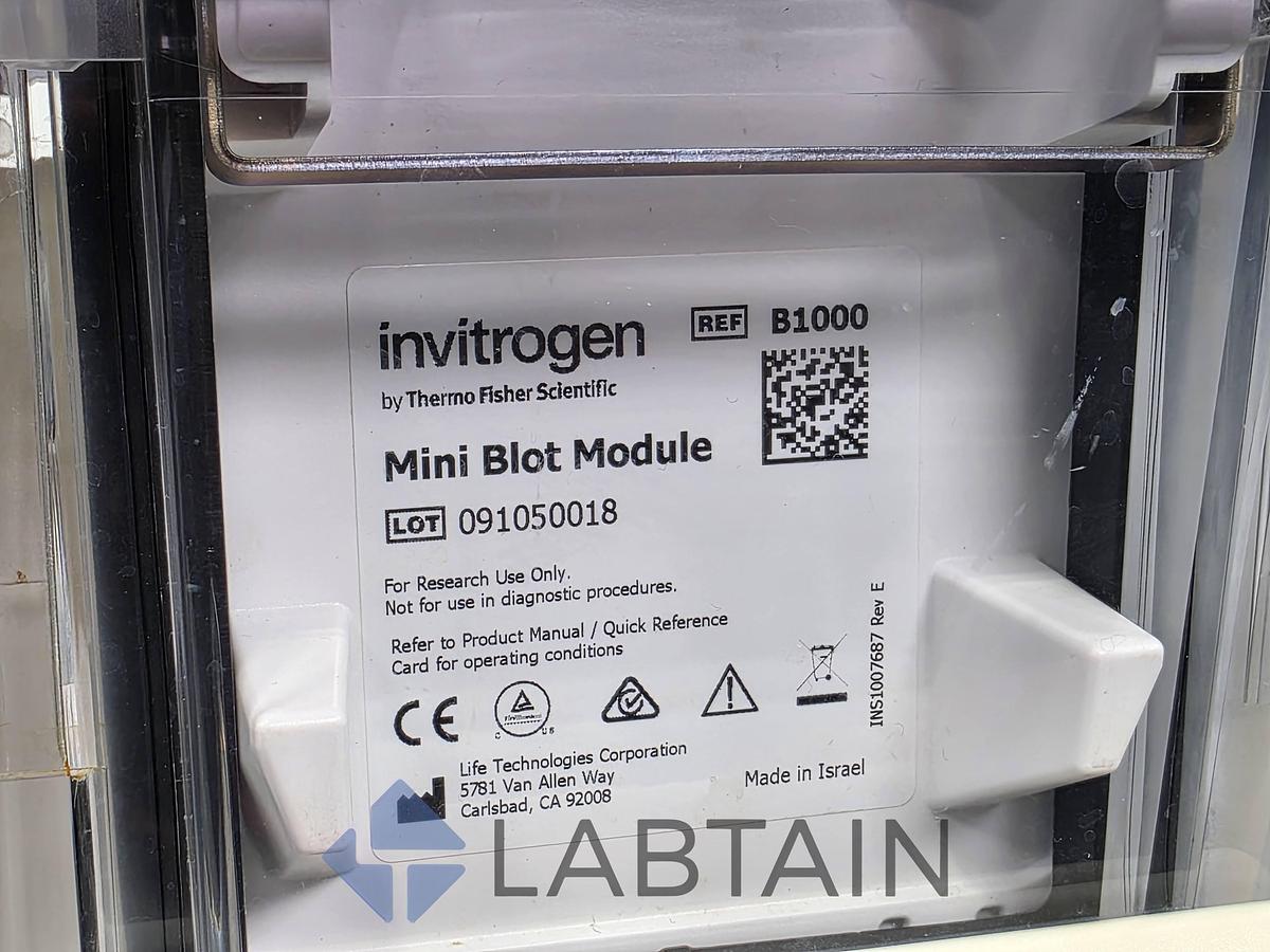 Used Life Technologies Novex Mini Gel Tank w/ (2) Invitrogen Mini Blot Modules