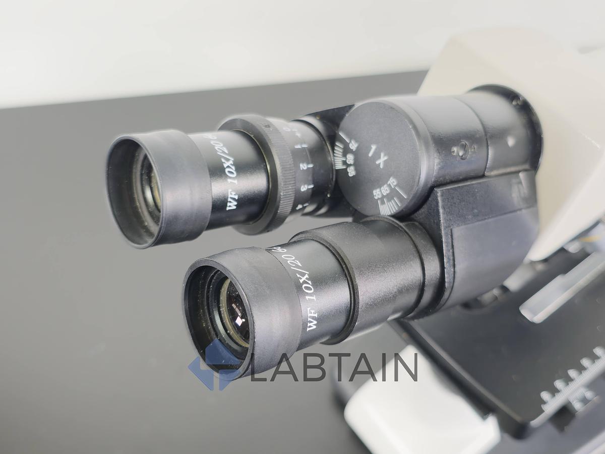 Used OEM Trinocular Compound Brightfield Microscope 40X-1000X Halogen