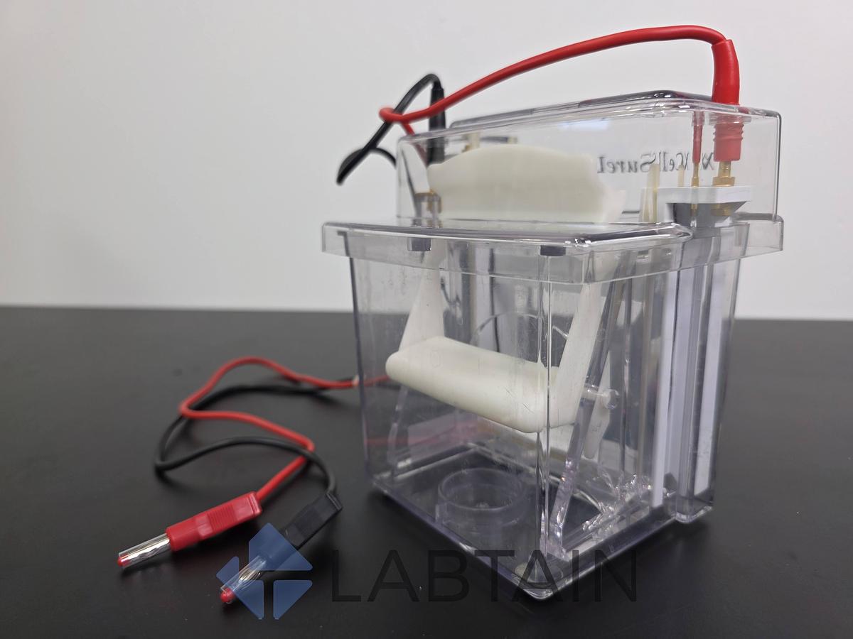 Used Novex Invitrogen XCell SureLock Mini-Cell Electrophoresis System Used