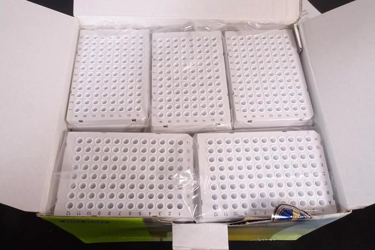 Bio-Rad Hard-Shell 96-Well PCR Plates,low profile,thin wall, HS9655 | Pack of 50