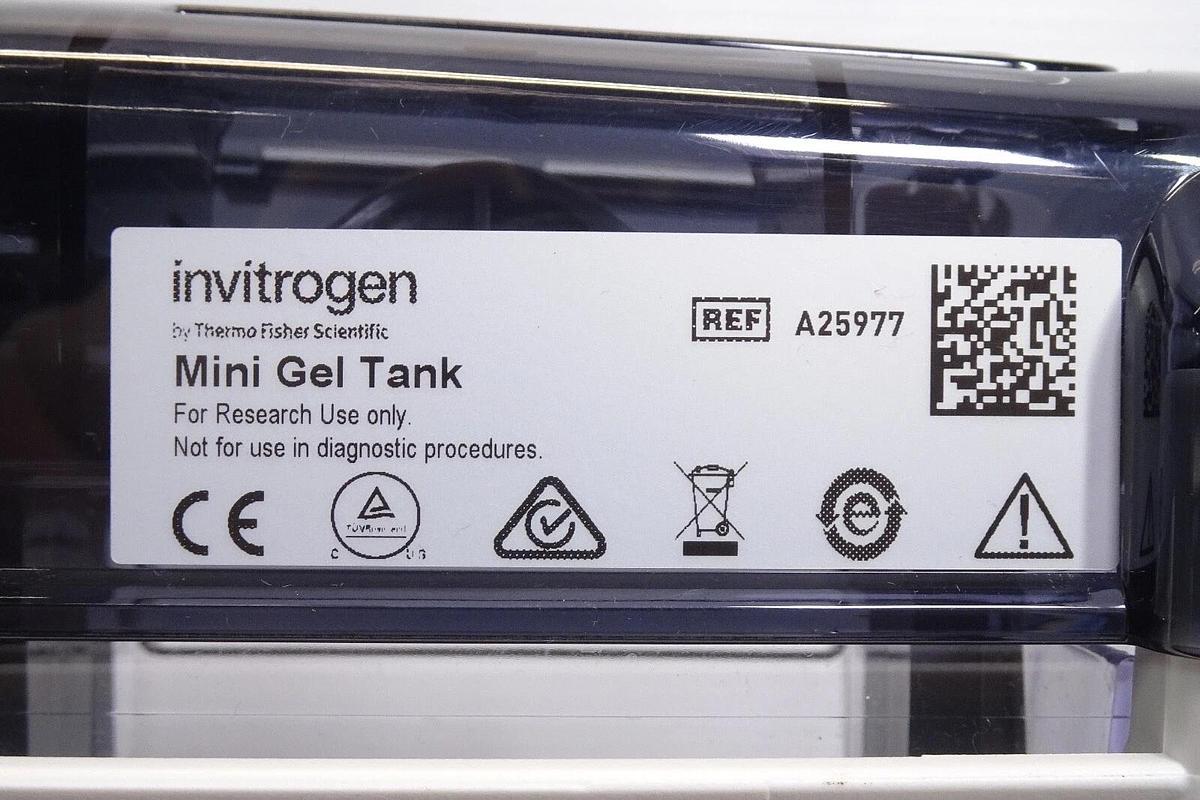 Used Invitrogen A25977 Mini Gel Tank Electrophoresis System _ Free Shipping