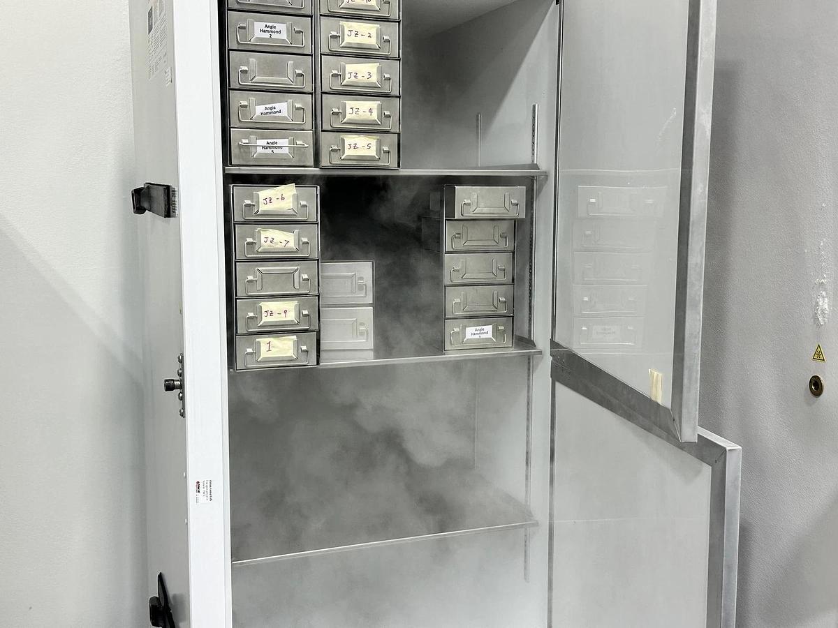 Used Thermo Fisher Scientific TSX40086A Ultra-Low Temperature Freezer – -80°C – 400L – Tested