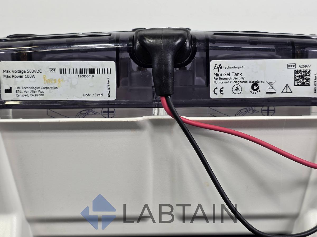 Used Invitrogen / Thermo Fisher Mini Gel Tank (A25977) with 2× Mini Blot Modules (B1000) — Vertical Mini-Gel Electrophoresis & Wet Western Transfer — Used / Inspected