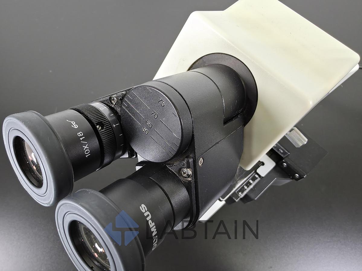 Used Olympus CX21FS1 Binocular Biological Microscope | 4X, 10X, 40X, 100X Objectives