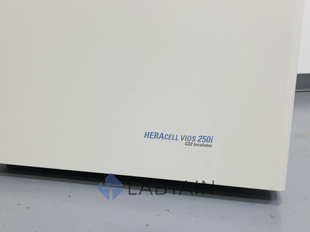 Used Thermo Scientific HERAcell Vios 250i CO2 Incubator (100V) Used