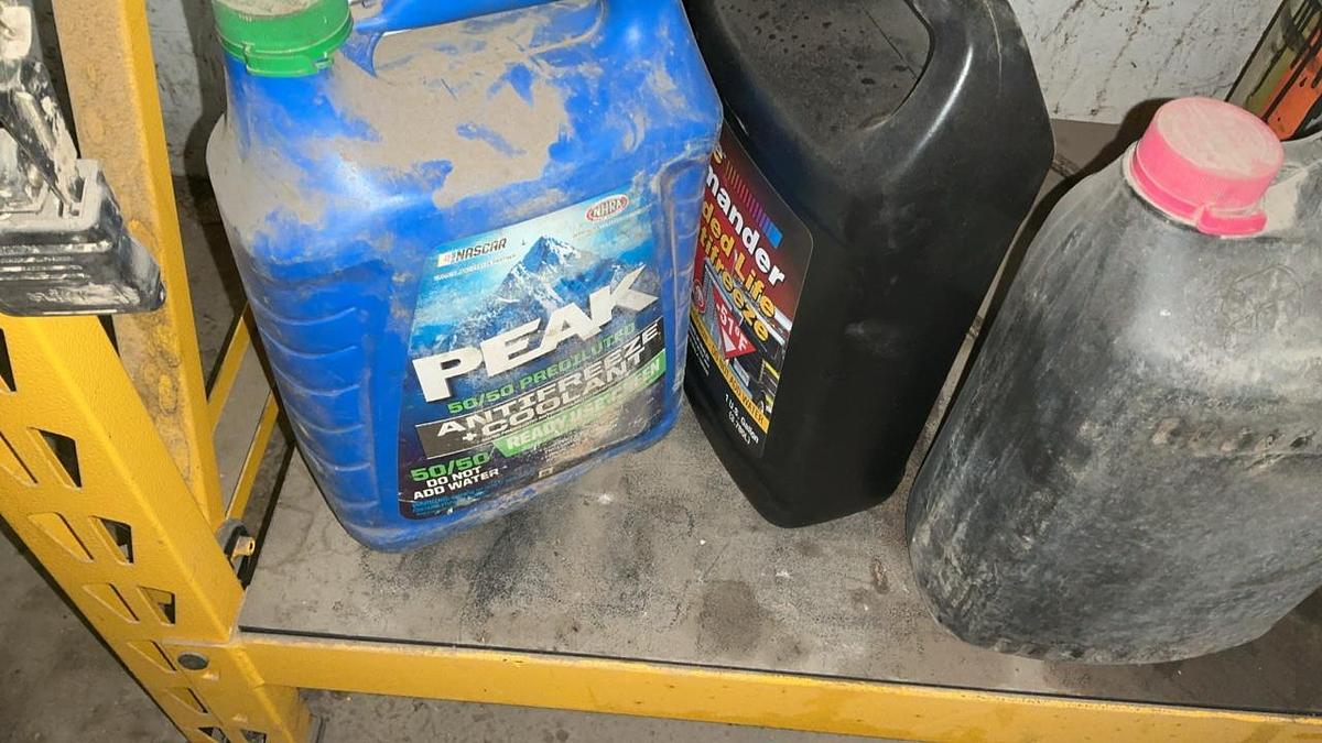 Used Dewalt Shelf and Misc. Grease and Oil