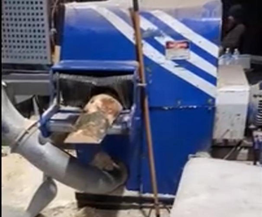 Used Fast-Line Gang Edger