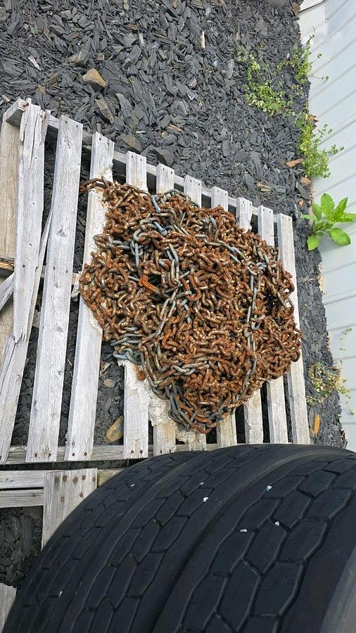 Used Tire Chains