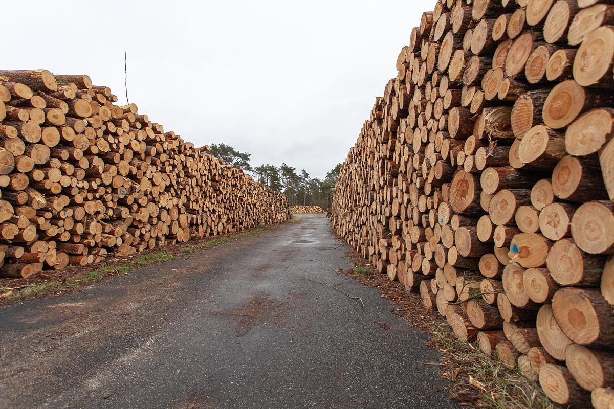 Used Twin Oaks Sawmill