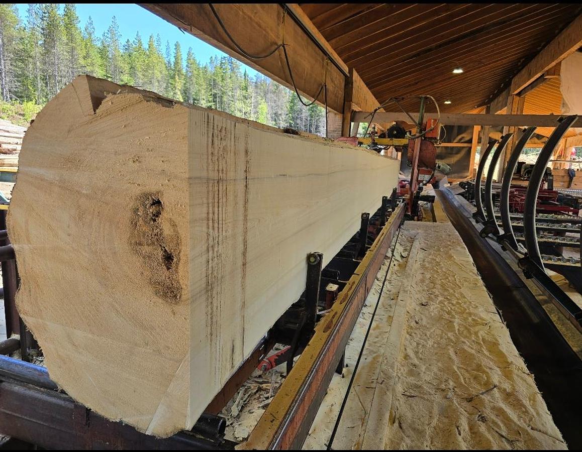 Used Wood- Mizer 5000 Bandmill