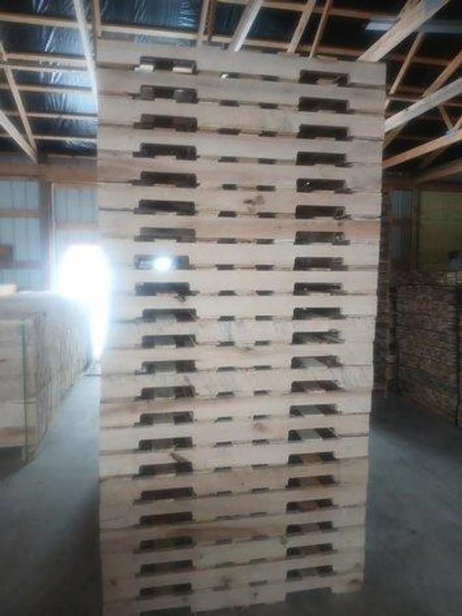 Used Oak Tree Pallet