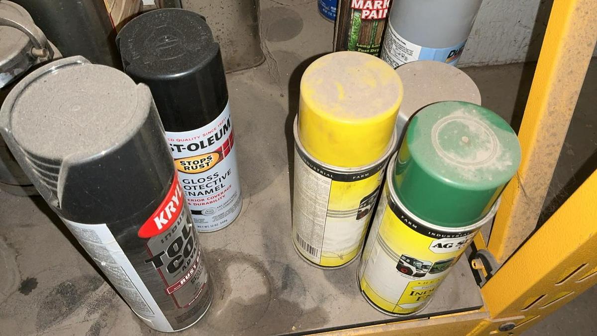 Used Dewalt Shelf and Misc. Grease and Oil