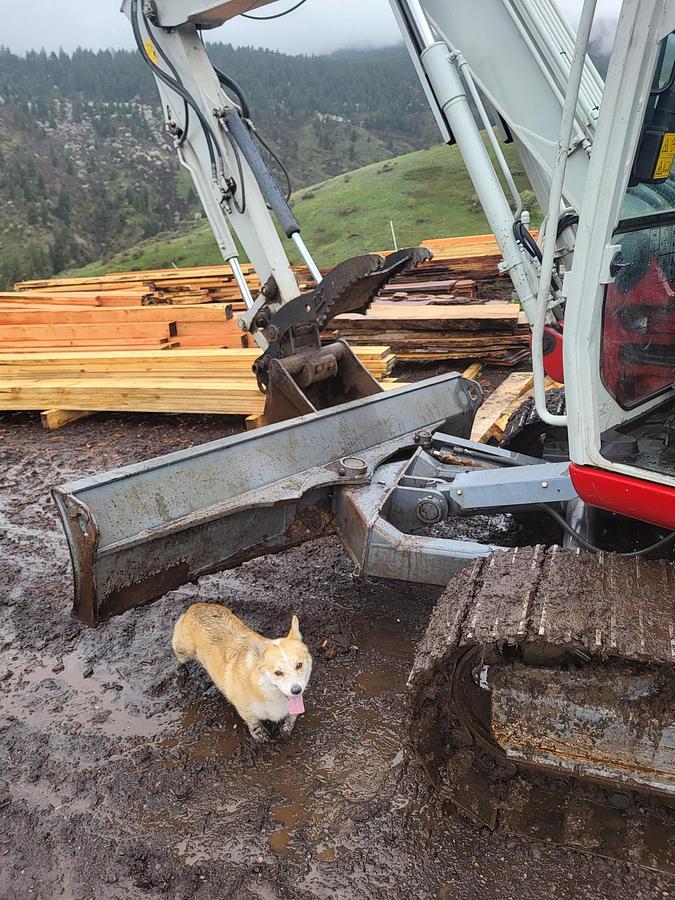 Used TB290 Takeuchi Excavator