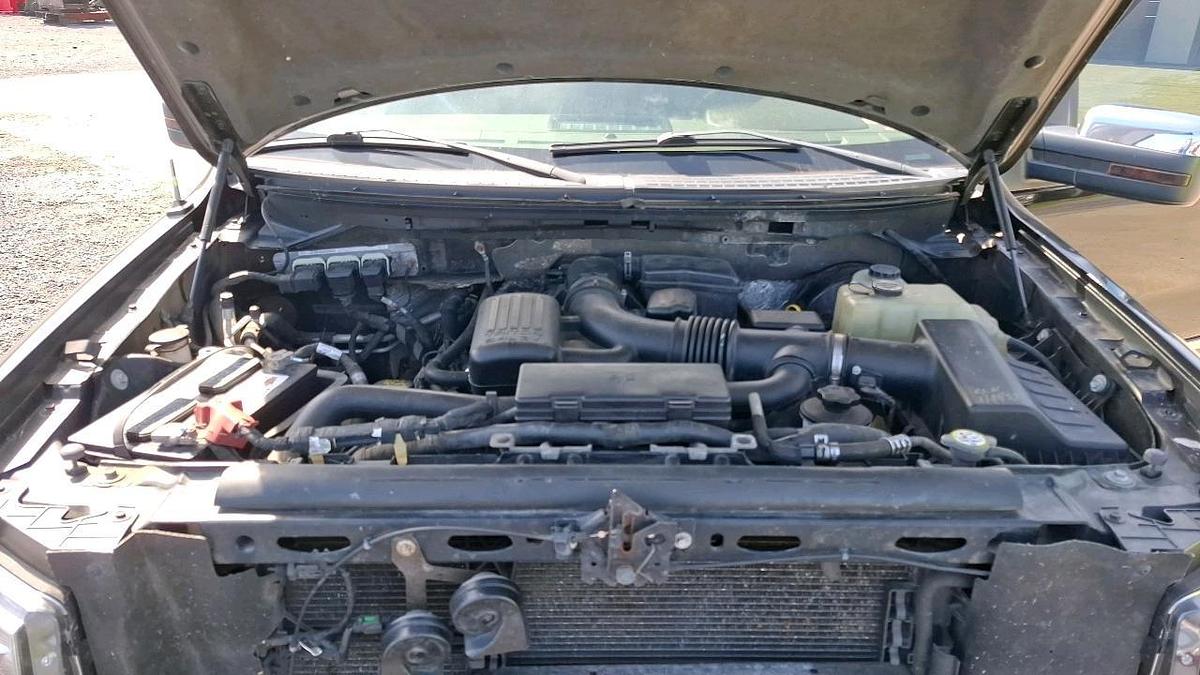 Used 2009 Ford F150 Pickup Truck