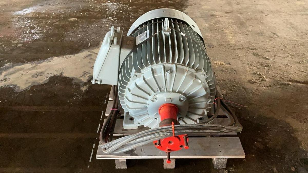 Used Electric Chipper Motor
