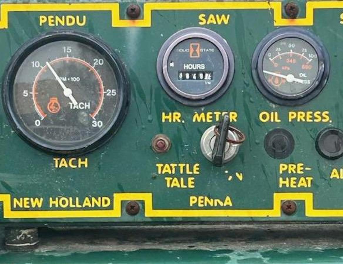 Used Pendu Jr. Gang Saw