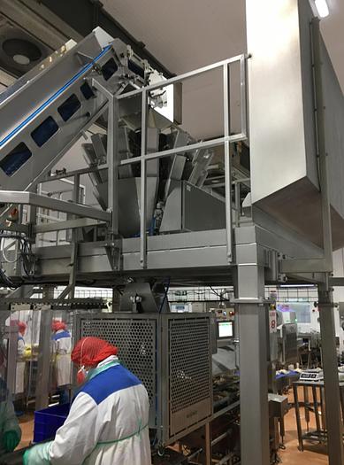 Used MULTIHEAD WEIGHER, GANTRY AND ELEVTOR