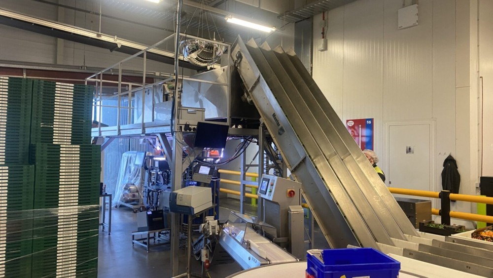 Used Manter weighing and Jasa packing line