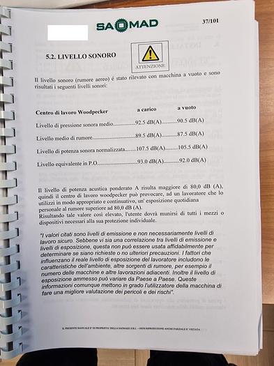 Used 2014 Saomad Woodpeker 60