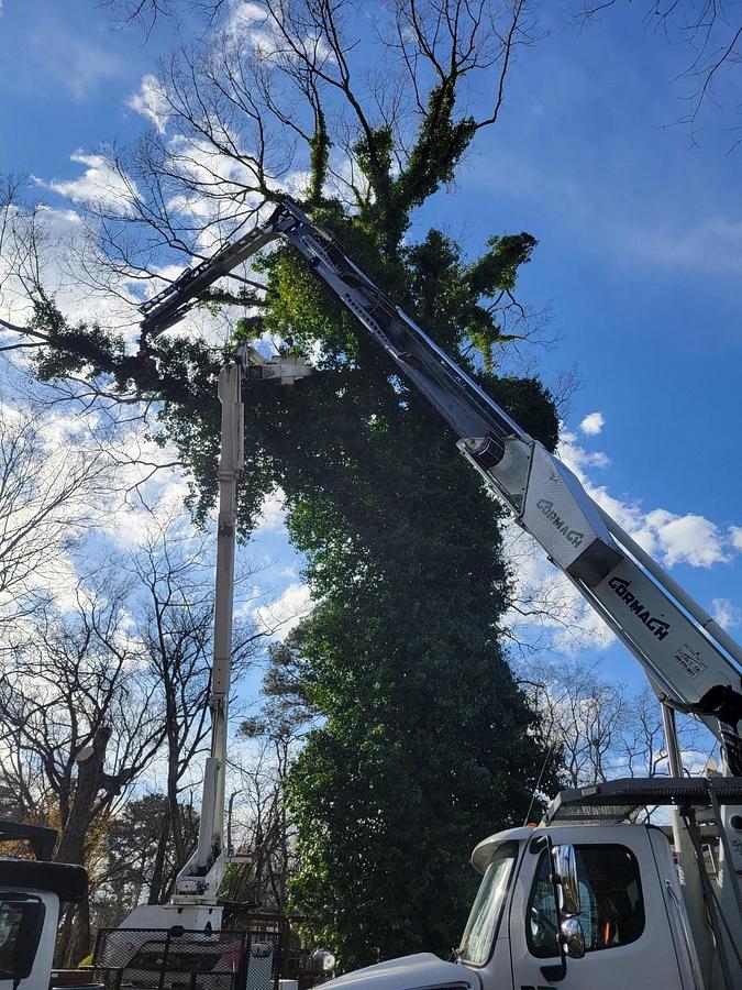 Used 2015 CORMACH 50000WB95