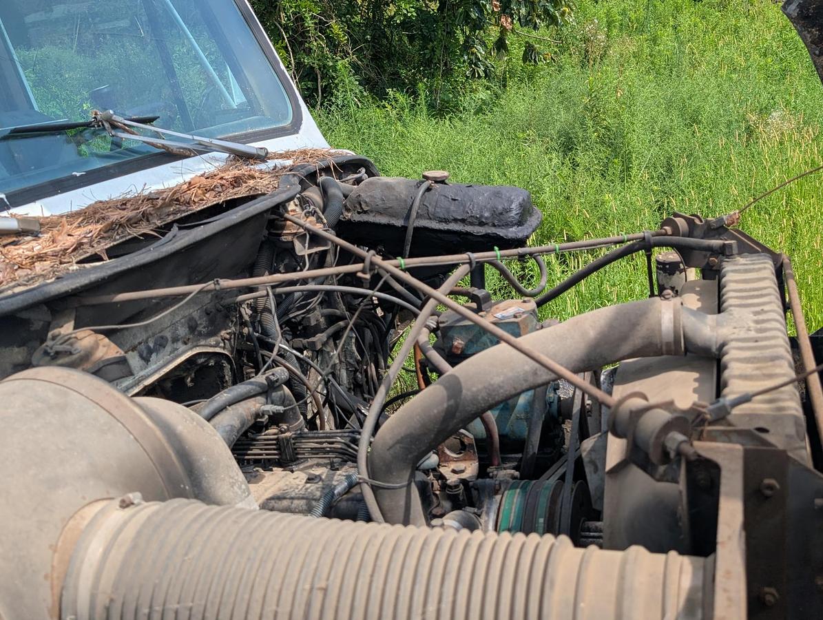 Used 1985 INTERNATIONAL S1900