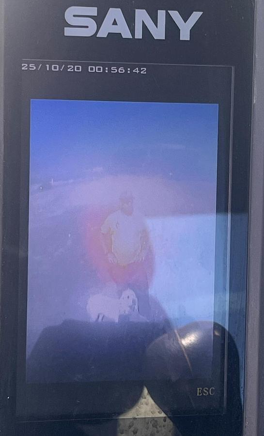 Used 2019 SANY SY215C LC