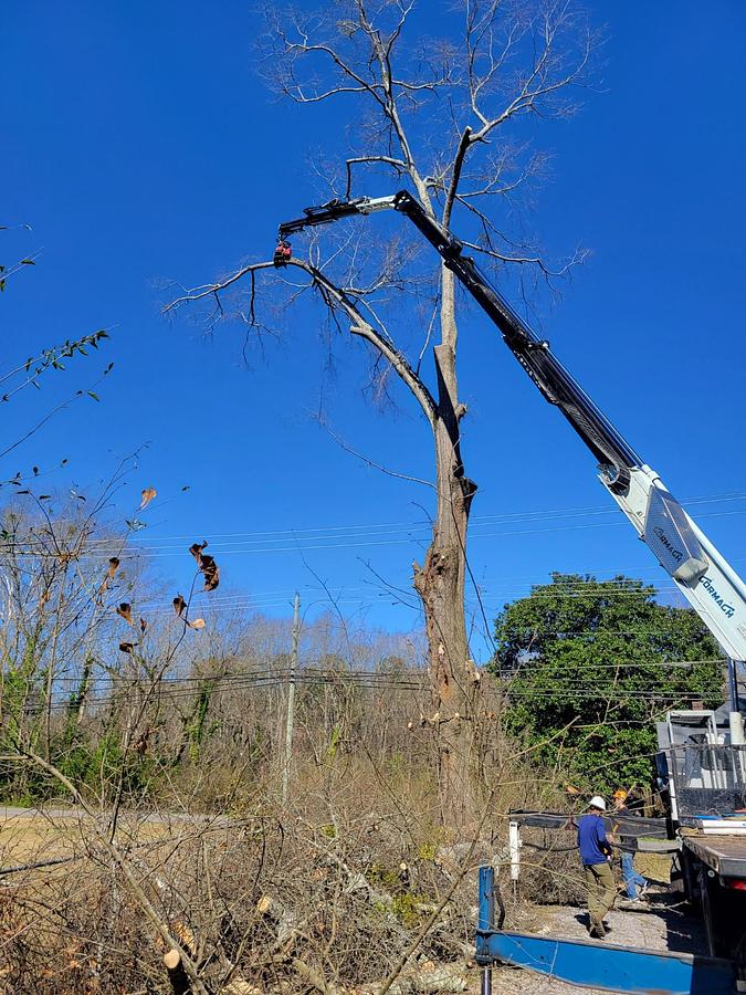 Used 2015 CORMACH 50000WB95