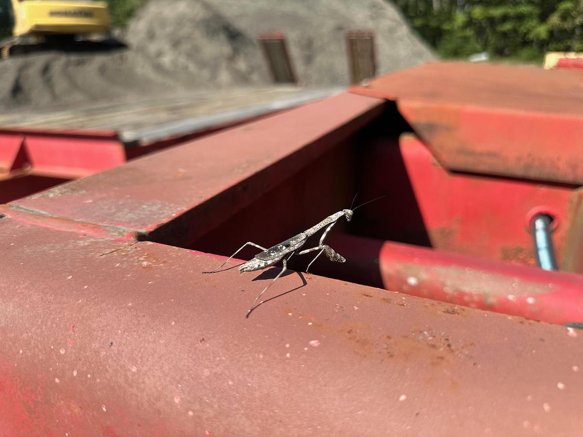 Used 1998 TALBERT 50T