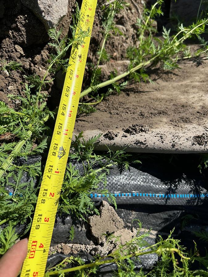 Used 2014 CATERPILLAR D8T