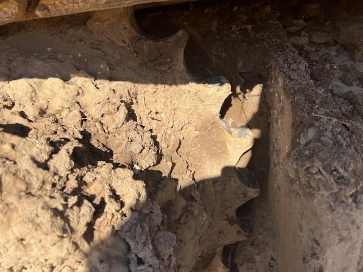 Used 2019 CATERPILLAR 336