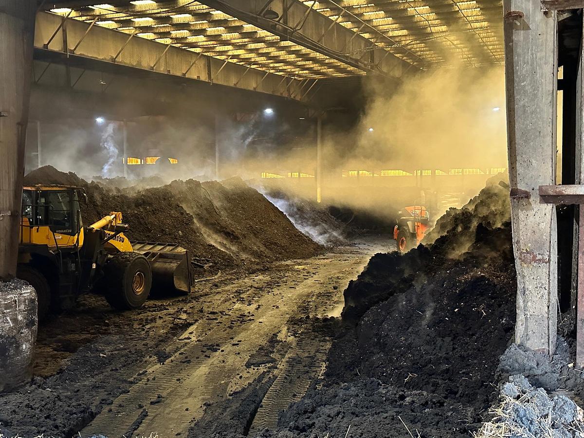 Used 2008 KAWASAKI 95ZVII