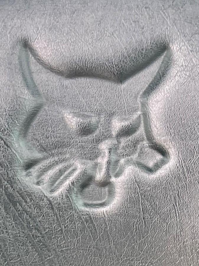 Used 2019 BOBCAT t870