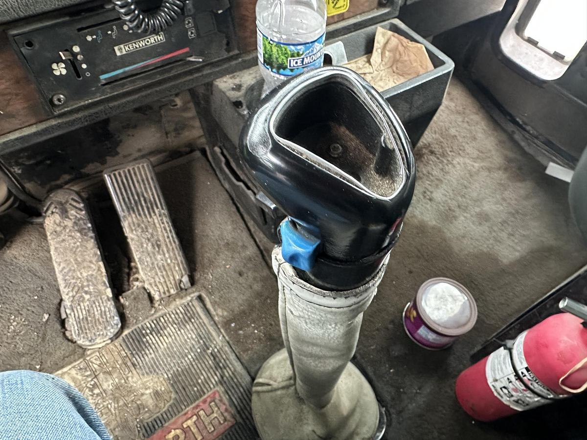 Used 1999 KENWORTH T800