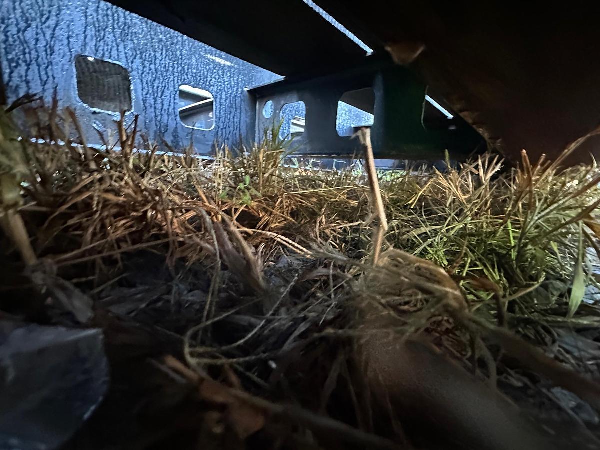 Used 2020 KALYN 51' x 102